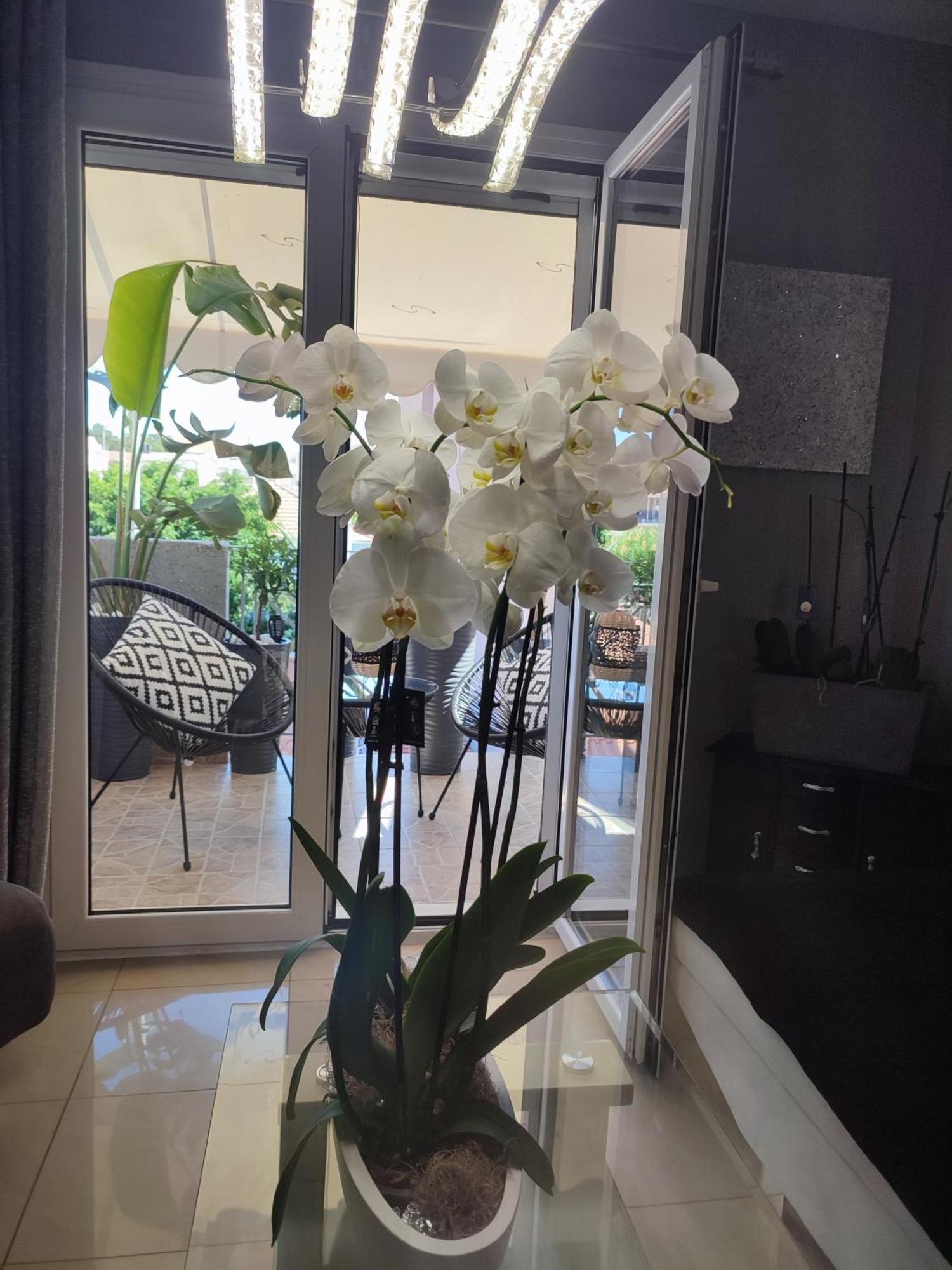 Diamond City Lux Apartment Argostoli  Buitenkant foto